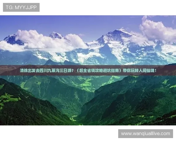 玩球看盘口技巧电子竞技投注防骗避坑指南